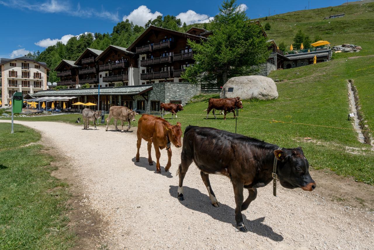 Riffelalp Resort 2222M - Ski-In & Ski-Out Zermatt Exterior photo